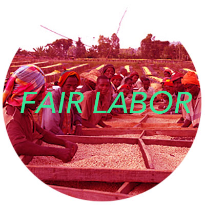 Fair Labor